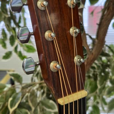 Sigma DM-5 Dreadnought MIJ Acoustic Guitar 1990's - Natural image 8