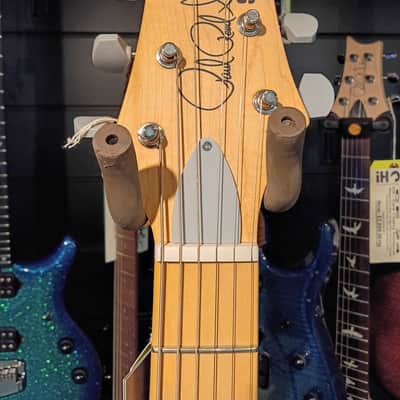 PRS SE Silver Sky with Maple Fretboard 2025 - Present - Stone Blue image 6