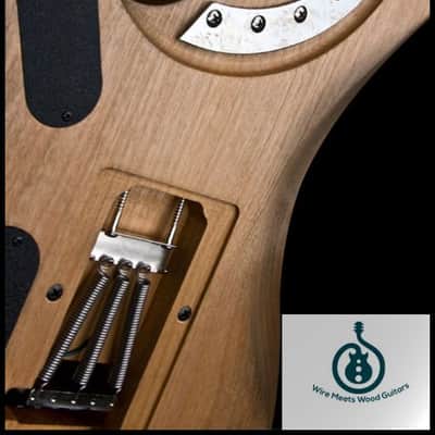 Washburn N4VINTAGE-D Natural Distressed, Nuno Usa Signature Serie w/GCN4 case image 7