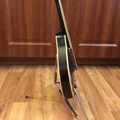 Ashbury Mandolin w/Case image 9
