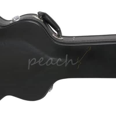 Epiphone ES-335/Casino Style Hard Case (6 & 12-String) image 2