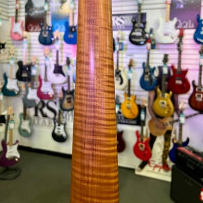 Wilkins Exotic 5 String Bass Made In USA with Gig Bag - Pre Owned image 14