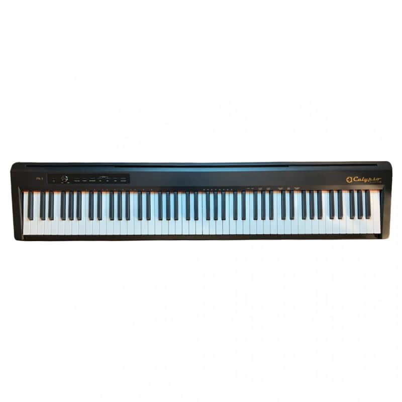 Calypso PK-1 Digital Piano - 88 Keys - Black image 1