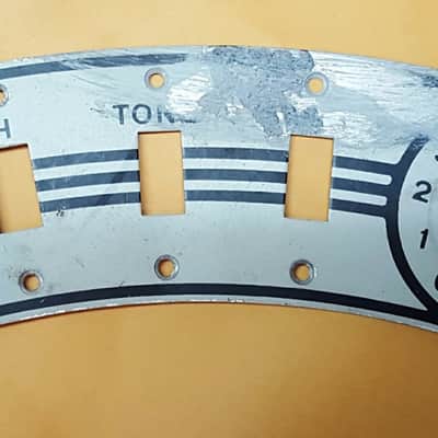 Guitar Switch Plate Vintage image 1