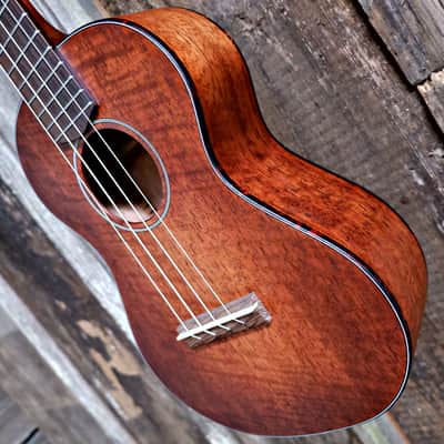 Eastman EU1-T All Solid Mahogany Tenor Ukulele w/ Gig Bag image 2