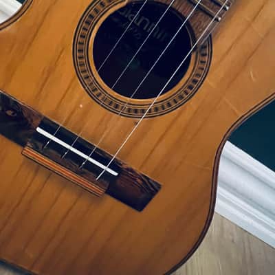Giannini Cavaquinho MPB image 5