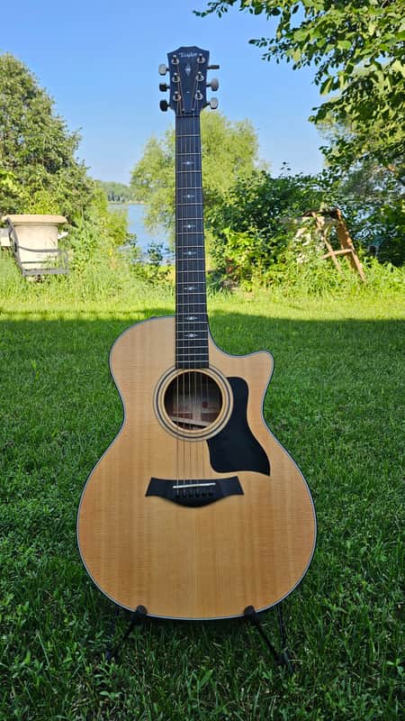 Taylor 314ce with V-Class Bracing image 1