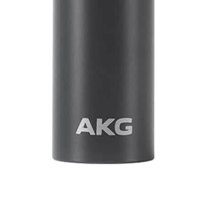 AKG C151 Bundle: Small Diaphragm Cardioid Condenser Microphone with RCXFM20E-B 20 Ft XLR Cable 100% Copper 90% Shielding for Studio Recording Podcast Streaming, 2 Items image 2