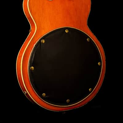 Gretsch 6120 Chet Atkins 1969 image 5