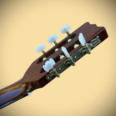 Rare Vintage Handcrafted Vantage VSC-20 CE Nylon Classical Acoustic/Electric Guitar w/Cutaway & Pickup/Preamp image 3
