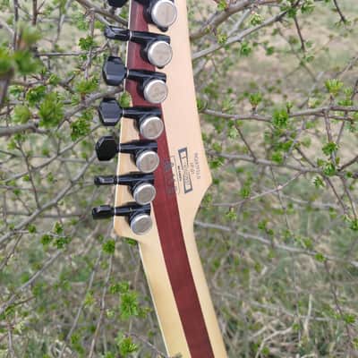 Ibanez RGIX7FDLB-NLB Iron Label 2018 - 2019 - Northern Lights Burst image 5