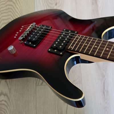 Washburn RX22, 2010, Flame Wine Sunburst, VG++ image 7