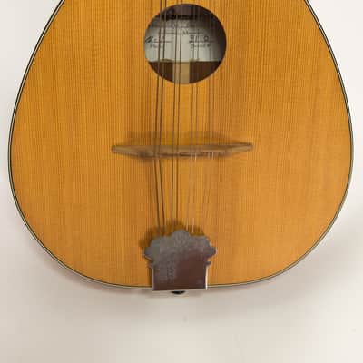 Mid Missouri Mandolin M-1 image 1