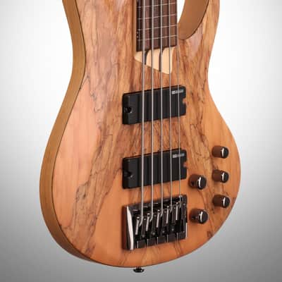 ESP LTD B205 Fretless Electric Bass (5-String) image 4