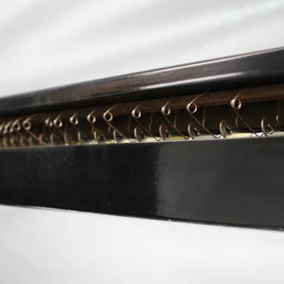 Nardan Taishokoto Soprano Taishogoto 5 cordes - Black - japan import image 4