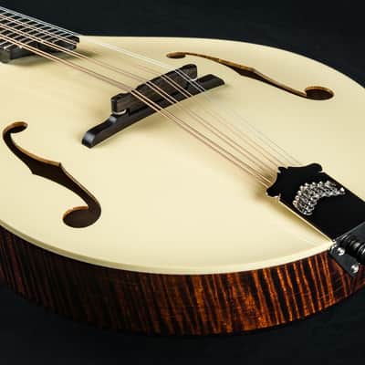 Collings MT Mandola Cream Gloss Top Adirondack Spruce and Flamed Maple NEW image 13