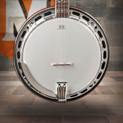 Washburn B16 Americana Series 5 String Banjo - Tobacco Sunburst (B16K-D-U) image 1