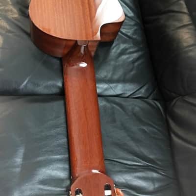 Cathedral 10 string clasical guitar 2013 with midi pickup image 9