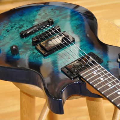 SCHECTER Solo-II Standard OBB Ocean Blue Burst Burl / Les Paul type / Solo-II / ST25060239 imagen 5