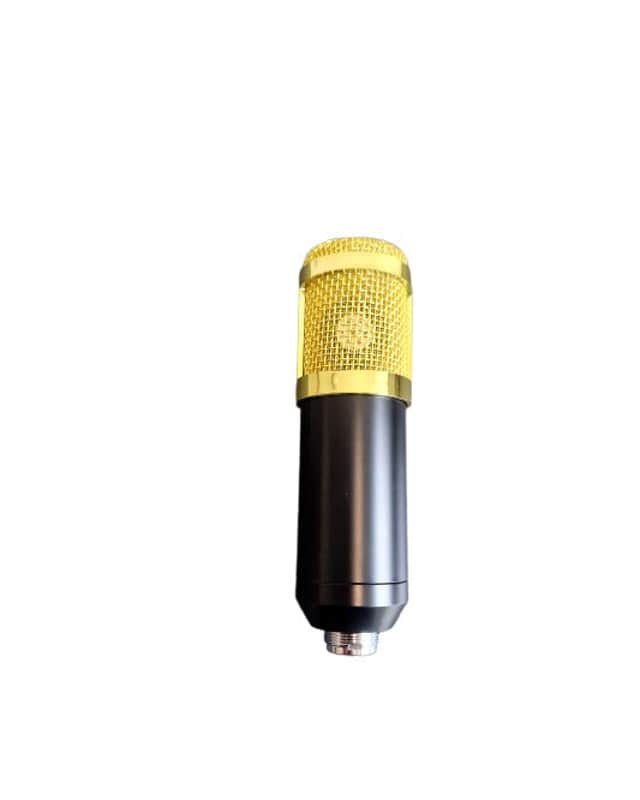 BM800 Condenser Microphone - Condenser Microphones - Excellent w/ Original Box image 1