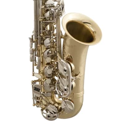 Selmer SAS301 Alto Saxophone Outfit image 2