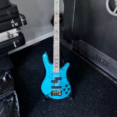 Spector NS-2 USA 2025 - Aquatic image 2