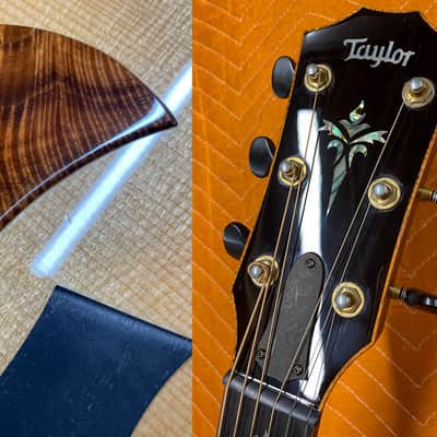 Taylor Custom TF Lutz Spruce & Brazilian Rosewood 2020 image 18