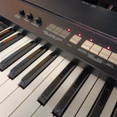 Immagine Hammond XB-1 - 3