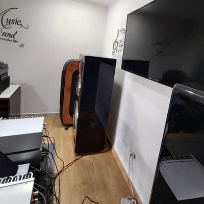 DANIEL HERTZ MARK LEVINSON M1 REFERENCE + 4 TELIKOS M5 + M6 2016 image 20