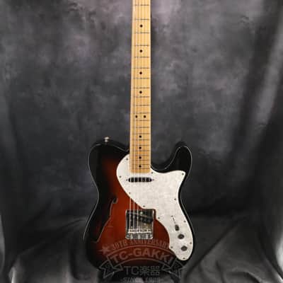 Fender Mexico 1969 Telecaster Thinline image 2