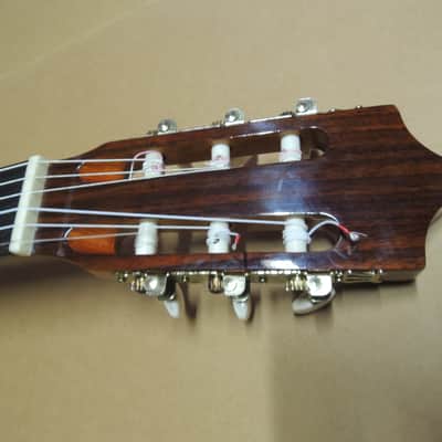 andalusia AG-6 G Guitare classique electro acoustique pan coupé Style Espagnole image 9