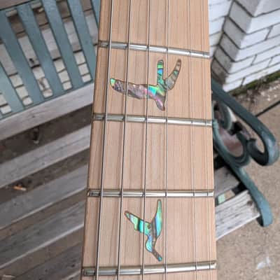 PRS SE Special - Swamp Ash image 14