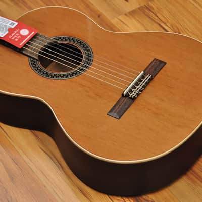 Alhambra 1C Hybrid Terra + softcase image 4