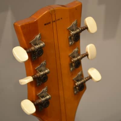 Eko Explorer -VIDEO- True Vintage Made in Italy (Hofner, Valco, Silvertone, Vox) image 6