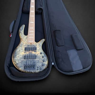 Elrick EVO Gold 5 String Buckeye Burl 2024 - Natural image 2