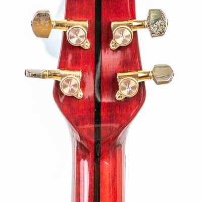 Daion The Year Series '81 Caribou - Wine Red (WR) - Electric Acoustic Six String image 18
