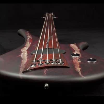 Marleaux  Diva 2016 Satin dark purple with silver inlays image 2