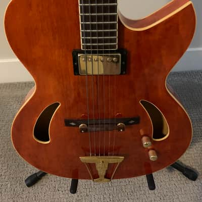 Cort Triggs TRG-1 Hollowbody image 2