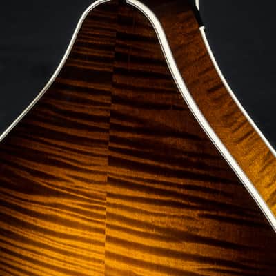Collings MT2 Mandola Sunburst Adirondack Spruce and Flamed Maple NEW image 21