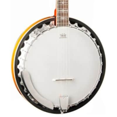 Washburn B10 Banjo image 2