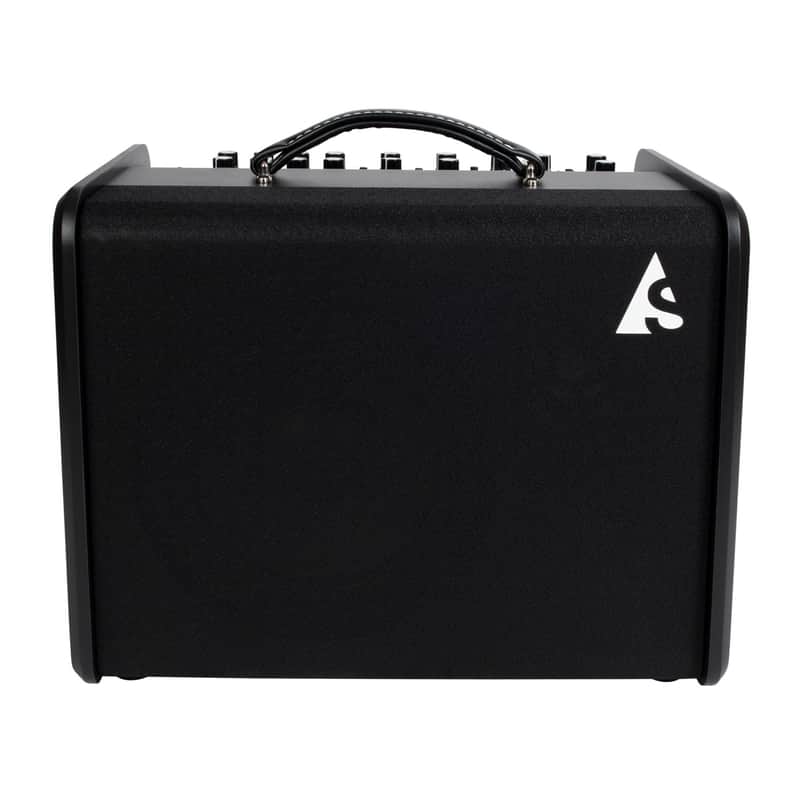 Godin	ASG-8 Acoustic Solutions 2-Channel 120-Watt 1x8" Acoustic Guitar Combo image 5