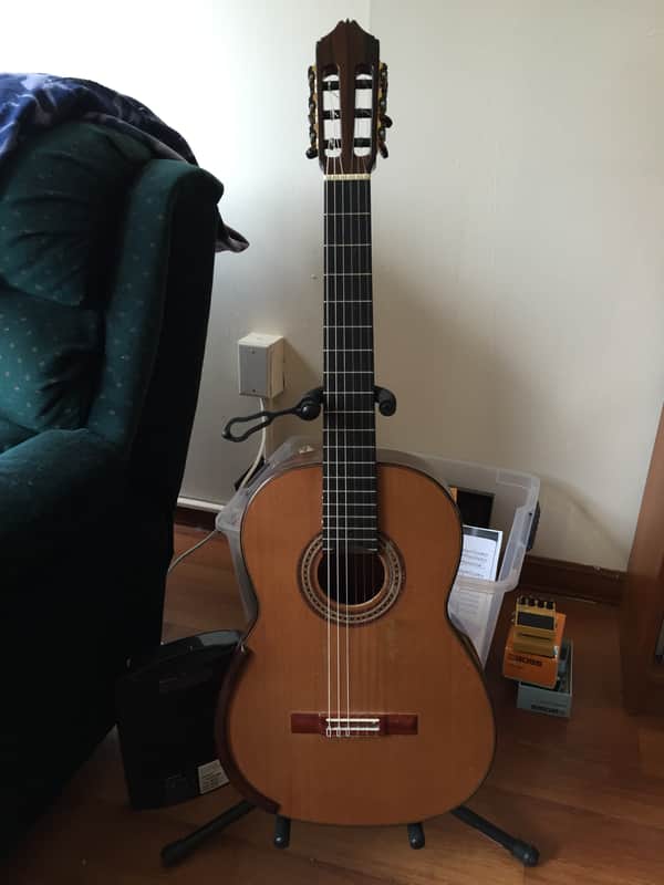 David Schramm Lattice Braced classical guitar 2012 w/custom hoffee case image 1