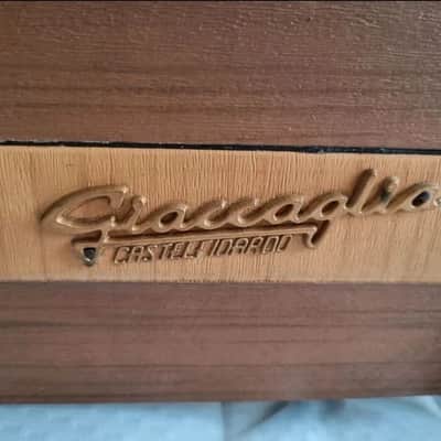 Super Rare Giaccaglia Chord/Reed Organ (Italy, 1960s) – vintage electric organ image 4