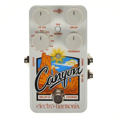 Electro-Harmonix Canyon Delay and Looper image 1