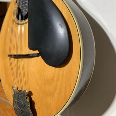 Lyon & Healy Style C Mandolin 1920 image 4