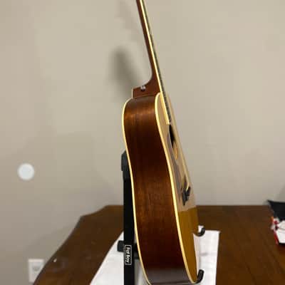 Taylor DN-3 2010 - Natural image 6