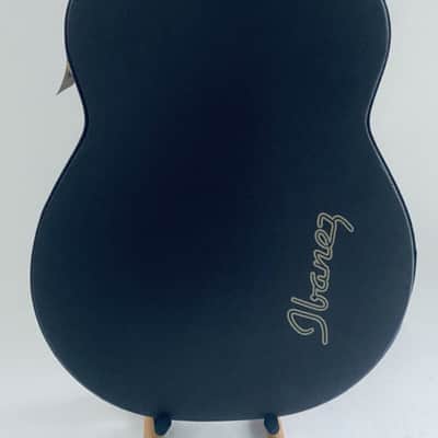 Ibanez 41 Inch Acoustic Guitar Hard Case in Black image 11