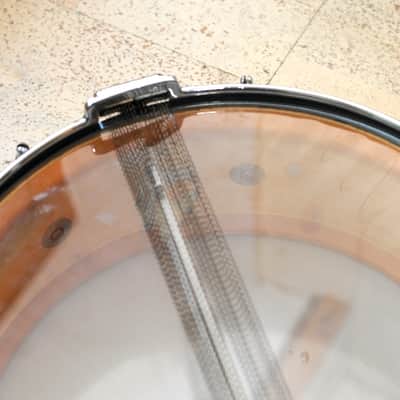 Premier 14" x 5,5" Birch Royal Ace Black Pearl Snare 60´s Vintage Case Stativ image 5