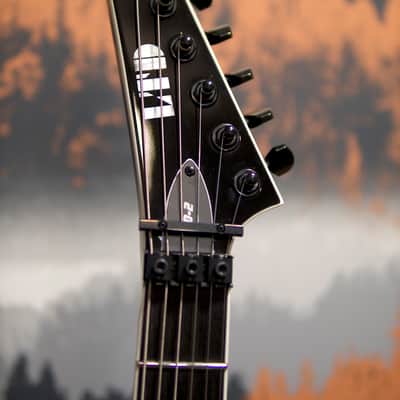 ESP LTD SD-2 Sammy Duet Signature + ESP Hard Case image 14
