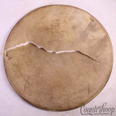 Geo Way Calf Skin 14" Snare Drum Head Batter George Camco Vintage 50s Elkhart,IN image 1